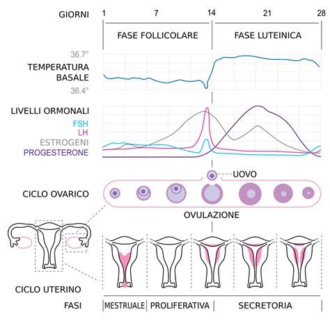 4 giorni di ritardo nessun sintomo|ritardo mestruale sintomi.